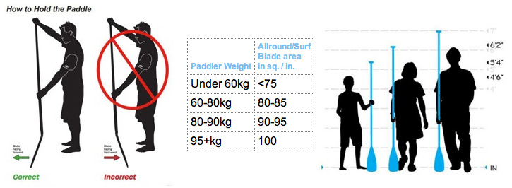 Paddle Board Size Chart